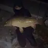 Ethan Williams - @ethan_williams157 - TikTok