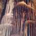 Ethan Williford - Facebook