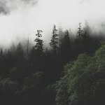 Ethan Williford - @ejwill10 - Instagram