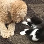 Ethan Willingham Cocking - @ethan_willingham_cocking - Instagram