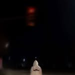 Ethan Wills - @ethanwills.4 - Instagram