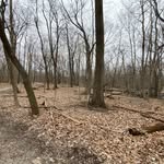 Ethan Wills - @ethanj.wills - Instagram
