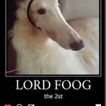 ethan_winer - @ethan_winer - Instagram