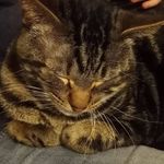 Ethan Winston - @ethan.winston.739 - Instagram