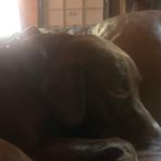 Ethan Wirth - Facebook