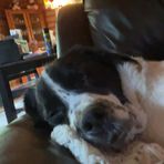 Ethan Wirth - Facebook