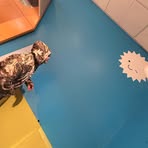 Ethan Wright - Facebook