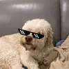 Ethan - @ethanleckerman - TikTok
