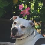 Ethel Bean - @ethelbean568 - Instagram