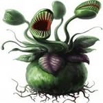 Ethel Bean - @beanethel - Instagram