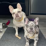 Ethel Bean and Edwin H - @marvelous_miss_ethel_bean - Instagram