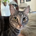 Ethelbeanmachine - @ethelbeanmachine - Instagram