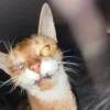 EthelBeanQueen - @ethelbeanqueen - TikTok
