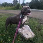 Ethel Mae Benjamin - @ethels_amazing_adventures - Instagram