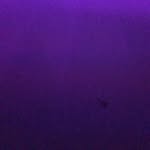 @takethelbenjamin - Instagram