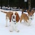 Ethel Bennett - Facebook