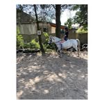 Ethel Blackburn - @mayoflamk - Instagram