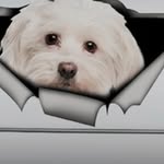 Ethel Blackburn - @ethel_blackburn_ - Instagram