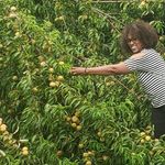 Ethel Bush - @ethelpate - Instagram