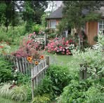 Ethel Calloway - Facebook