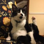 Chaplin Thelke - @sir.chaplin - Instagram