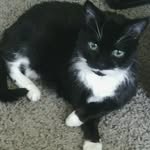 Ethel Cunningham - @ethel.cunningham.585 - Instagram