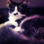 Ethel Darling - @miss_etheldarling - Instagram