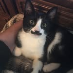 Kitty Ethel Darling - @kitty_ethel_darling - Instagram