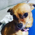 Harley_Ethel - @harley_ethel_alex_davidson - Instagram