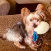 user1536083509940 - @etheldunlap00630 - TikTok