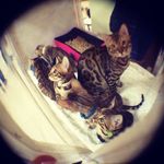 етхел дурхам - @etheldurham65 - Instagram