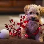 Ethel Engler - @ethelengler - Instagram