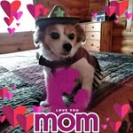 Ethel Goff - @voxalex935 - Instagram