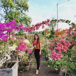 Ethel Hammond - LPM - @ethel.hammond.712 - Instagram