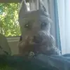 Ethelia Hines - @ethelia.hines - TikTok