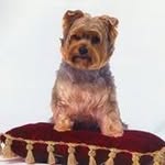 Ethel Hoffman - @ethel.hoffman - Instagram