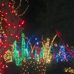 Ethel M Chocolates-Cactus Garden Holiday Display - Facebook