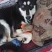 Ethel Hooker - Facebook