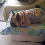ethel rocio hooker - @rohoogo - Instagram