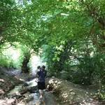 Ethel Hunter - @ethelhunter330 - Instagram