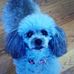 Ethelene Ingram - Facebook