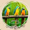 Ethel0987 - @etheljones748 - TikTok