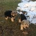 Ethel Kellogg - Facebook