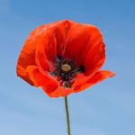 Ethel Kelly - @ethelkelly - Instagram