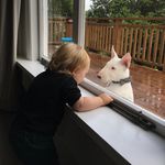 Ethel Kelly - @ethel_dog_ - Instagram