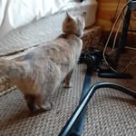 Ethel Kline - @ethelkline - Instagram