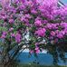 Ethel Lockett - Facebook