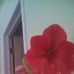Ethel Macdonald - Facebook
