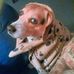 Ethel Manning - Facebook