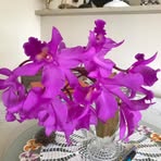 Ethel McManus - Facebook